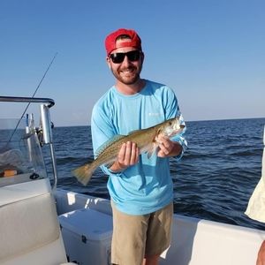 Meet your Posher, Collin